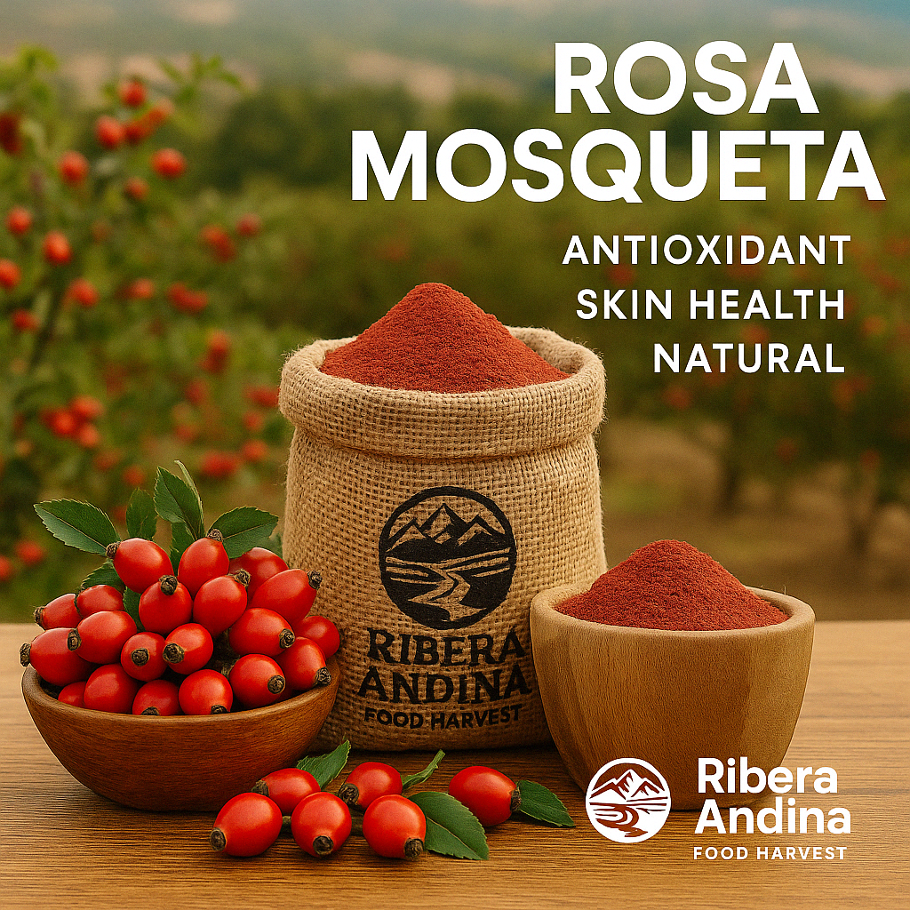 Rosa Mosqueta Ribera Andina - Antioxidante